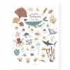 Lutin Petit Pois Décoration Murale Enfant Affiche A3 Les Petits Trésors De La Mer