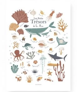 Lutin Petit Pois Décoration Murale Enfant Affiche A3 Les Petits Trésors De La Mer