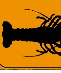 Wadiga Décoration Murale Enfant Plaque Décorative Murale Métal Homard Respect The Locals - 25x25cm -Décoration murale enfant Soldes plaque decorative murale metal homard respect the locals 25x25cm 2